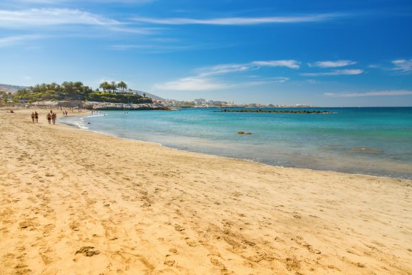 A picturesque beach scene from Playa Del Duque, Tenerife, showcasing turquoise waters gently caressing the sandy shore. The lush greenery surrounding the beach adds a tropical vibe